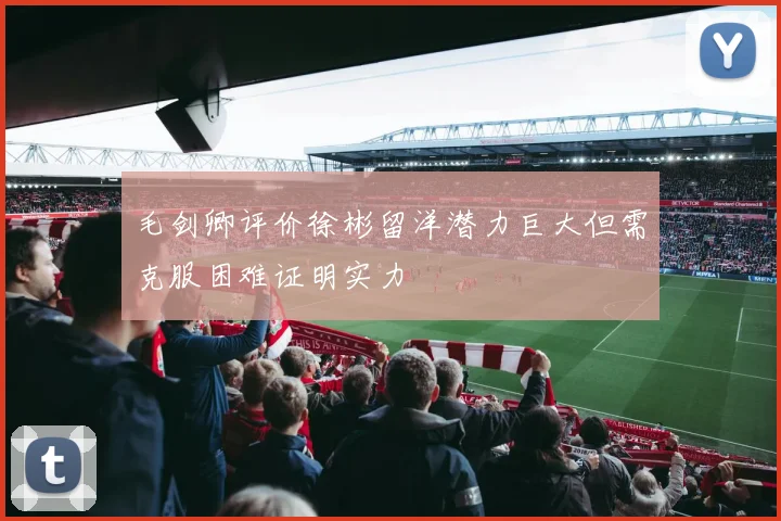 毛剑卿评价徐彬留洋潜力巨大但需克服困难证明实力