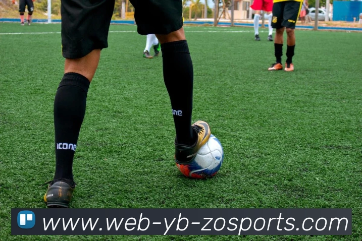 中欧体育平台生态图